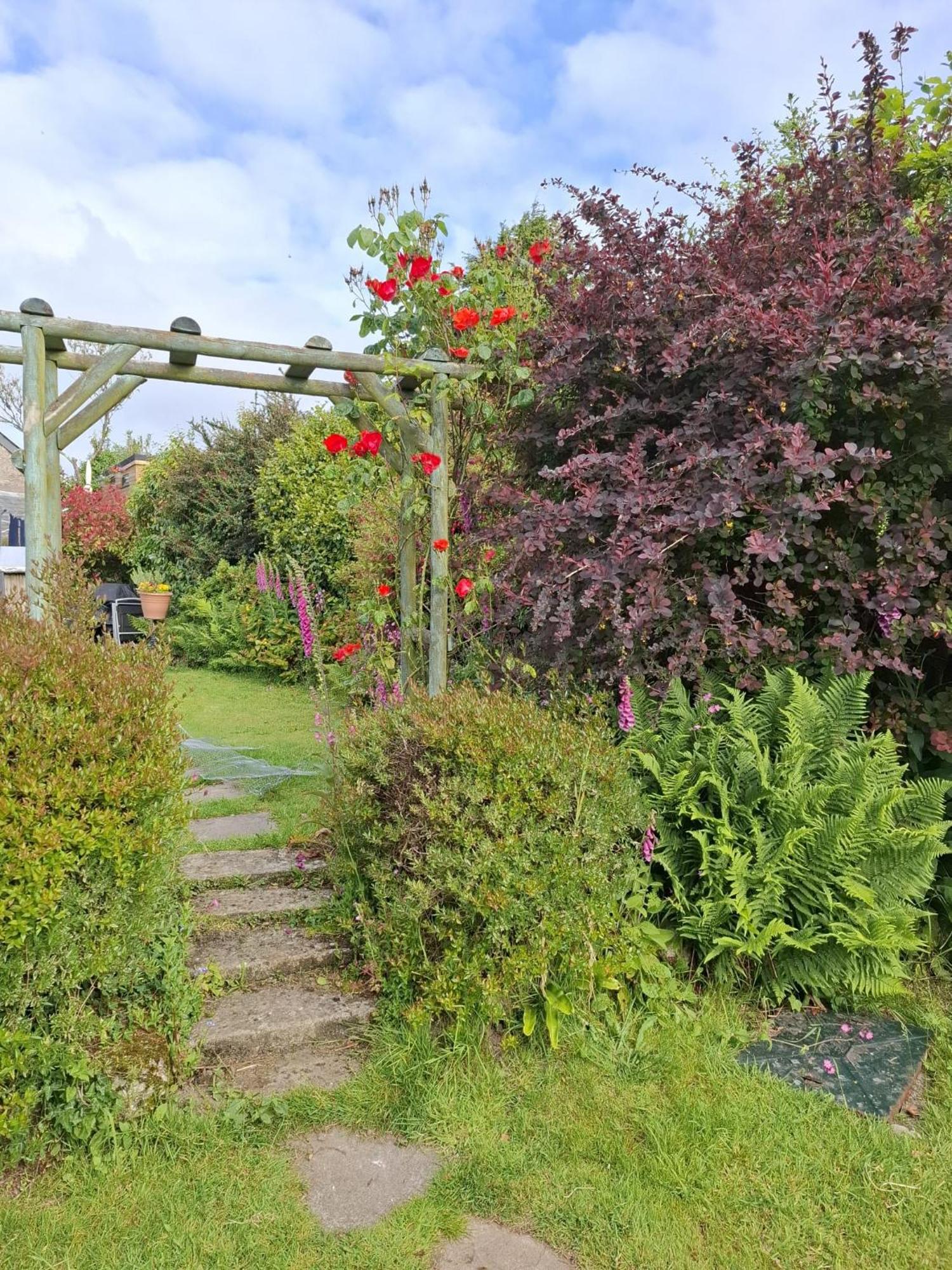 Cosy Cornish Cabin Сейнт Остел Екстериор снимка