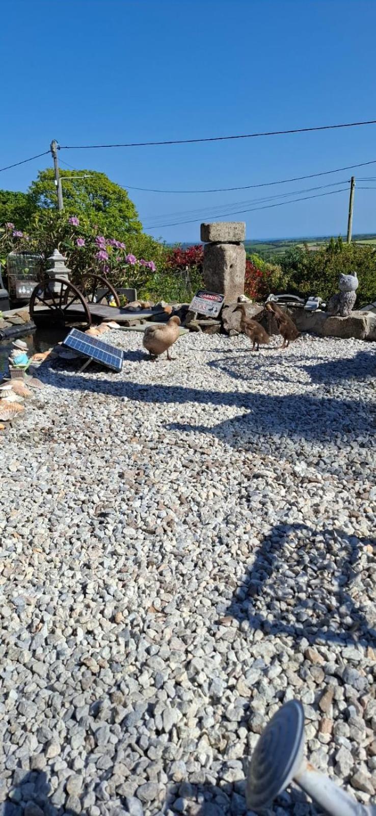 Cosy Cornish Cabin Сейнт Остел Екстериор снимка